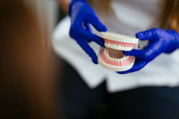 Best Traditional Braces  in Westport, NC
